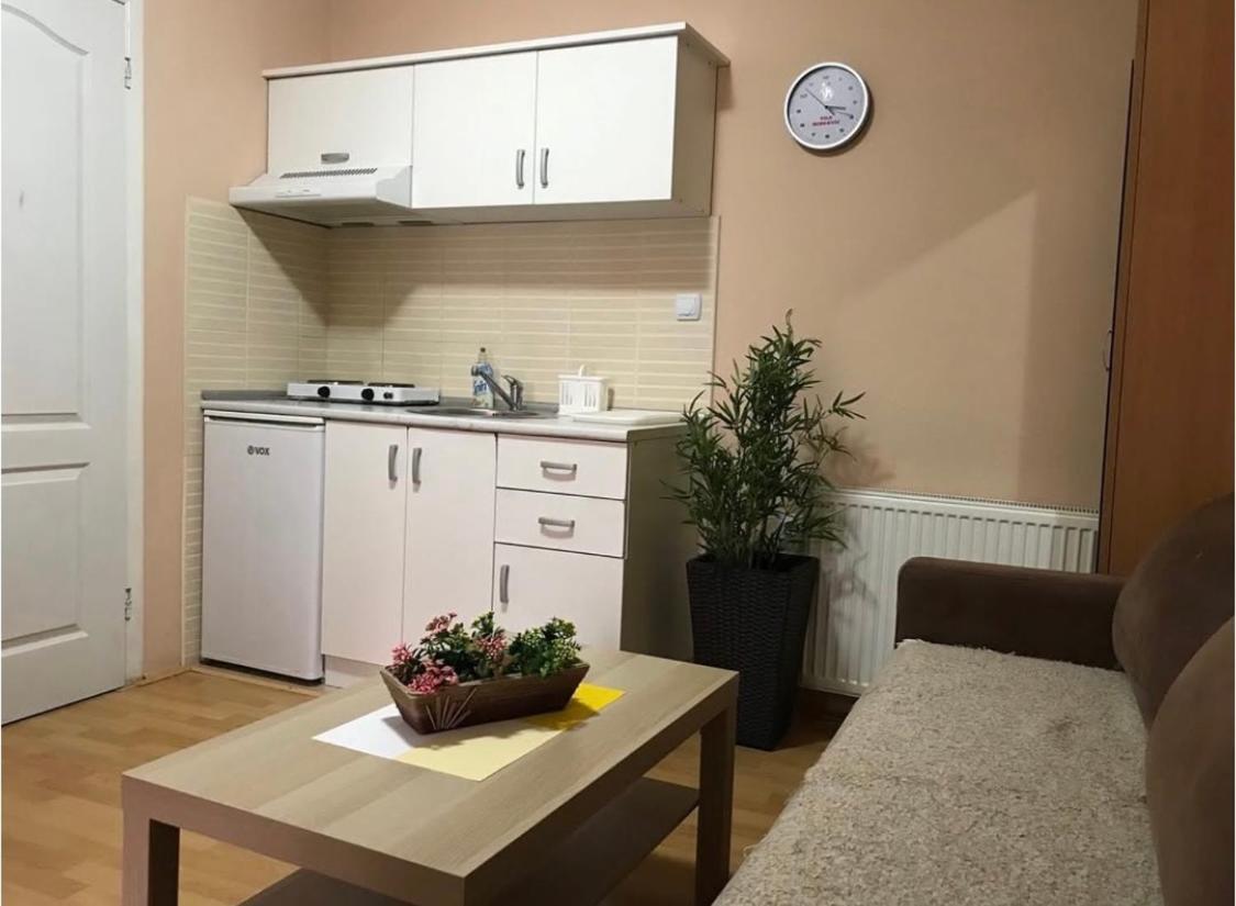 Konak Vila Mirkovic Soko Banja Bagian luar foto