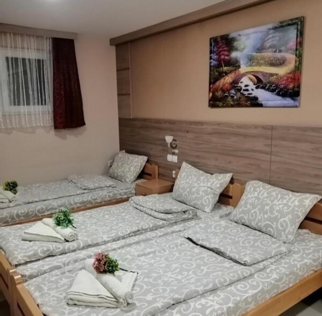 Konak Vila Mirkovic Soko Banja Bagian luar foto
